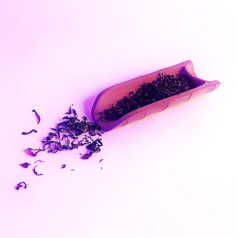 Східна Красуня