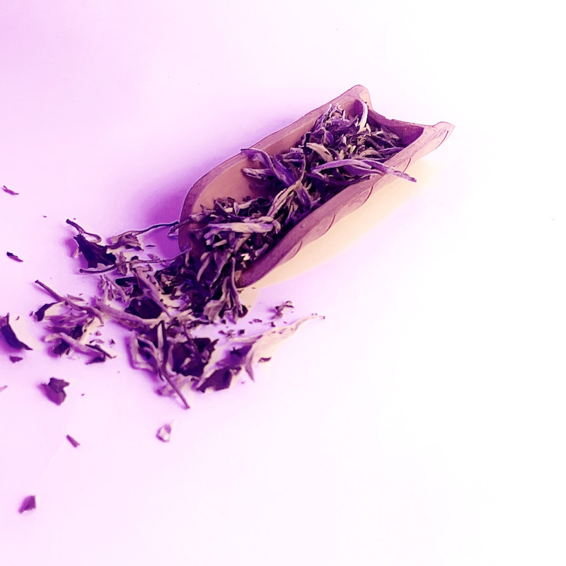 Юе Гуан Бай